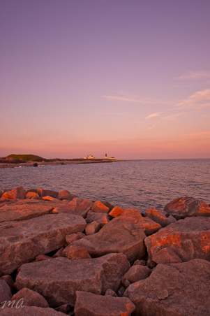 Enlarge photo 607