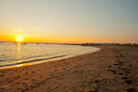 Enlarge photo 611