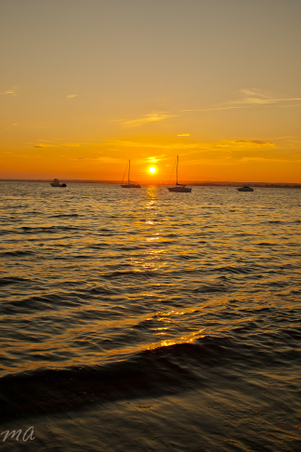 Enlarge photo 614