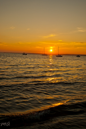 Enlarge photo 615