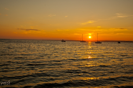 Enlarge photo 616
