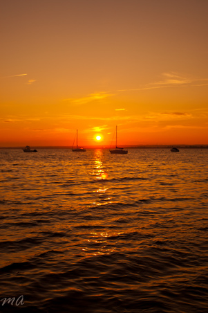 Enlarge photo 617