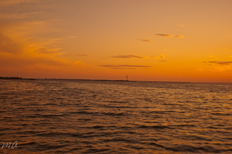 Enlarge photo 618