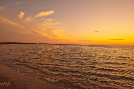 Enlarge photo 620
