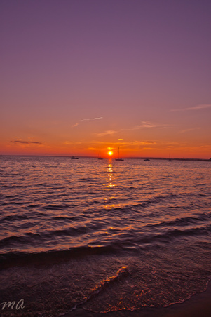 Enlarge photo 621