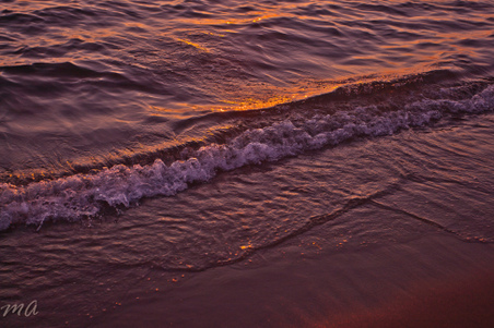 Enlarge photo 622