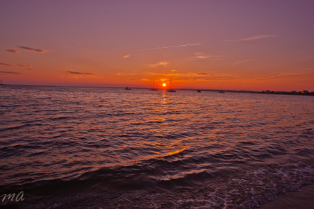 Enlarge photo 623