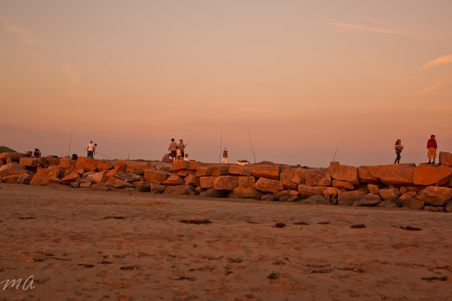 Enlarge photo 624