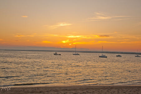 Enlarge photo 627