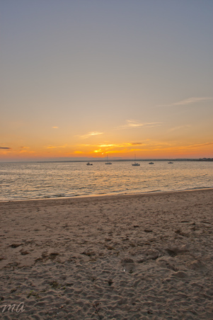 Enlarge photo 628