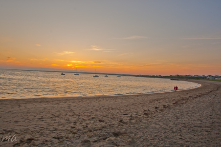 Enlarge photo 629