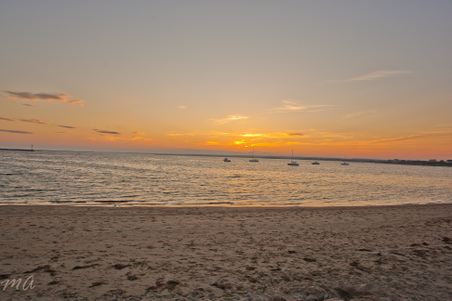 Enlarge photo 630
