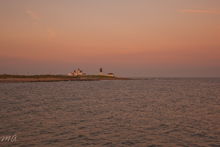 Enlarge photo 631