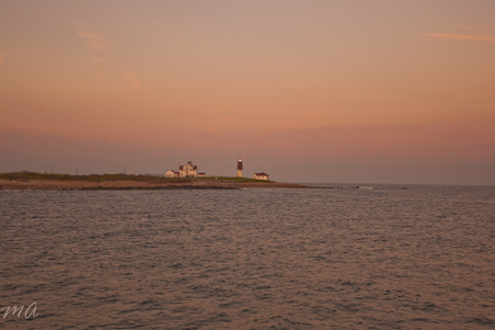 Enlarge photo 632