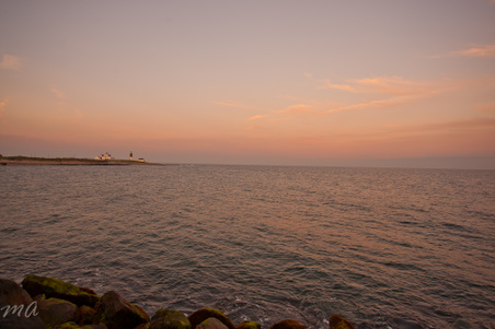 Enlarge photo 633