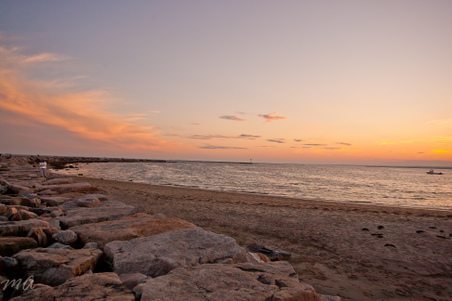 Enlarge photo 636