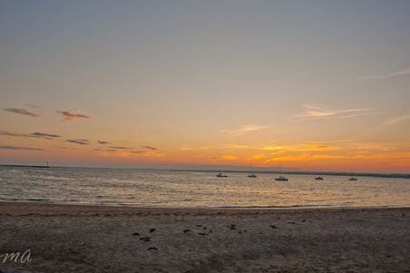 Enlarge photo 639