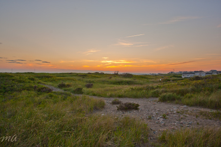 Enlarge photo 642