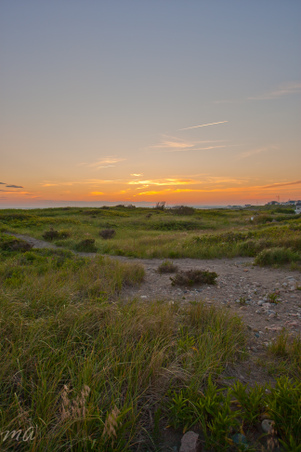 Enlarge photo 643