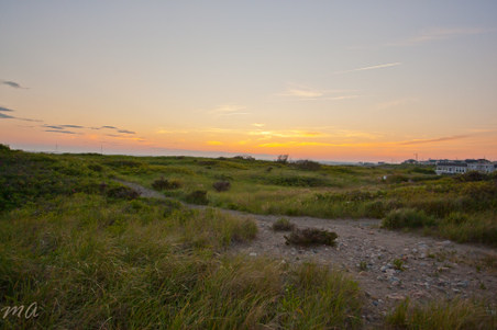 Enlarge photo 644