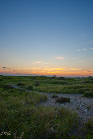 Enlarge photo 646