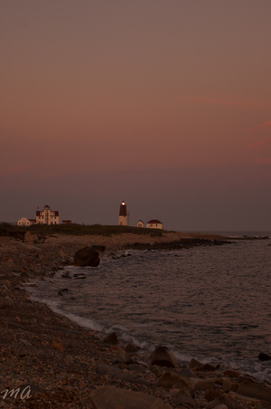 Enlarge photo 648