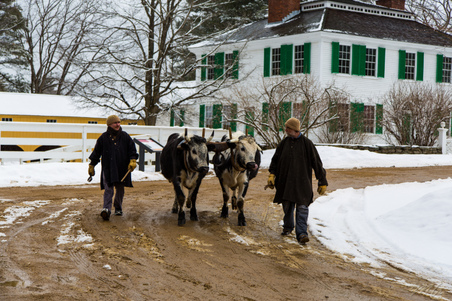 Enlarge photo 24