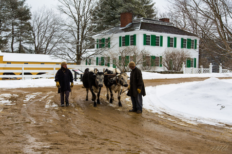 Enlarge photo 25