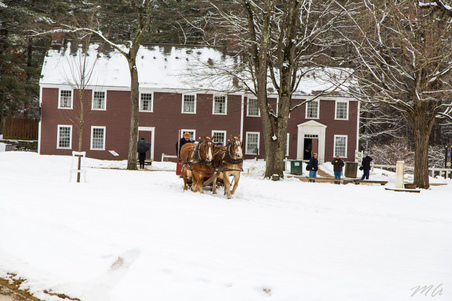 Enlarge photo 30
