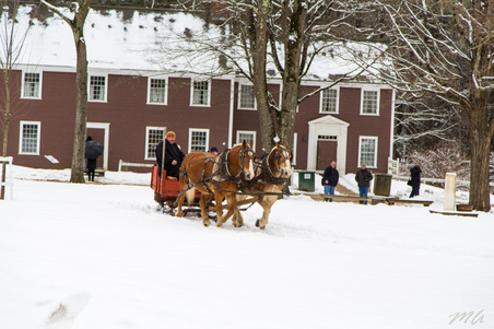 Enlarge photo 31
