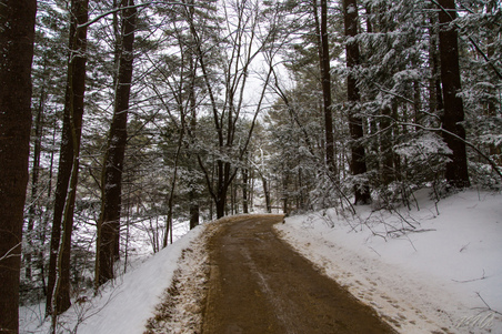Enlarge photo 39