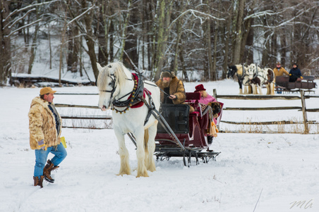 Enlarge photo 65