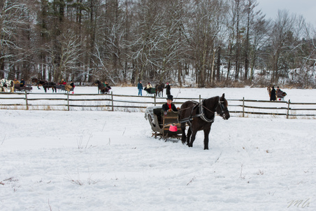 Enlarge photo 75