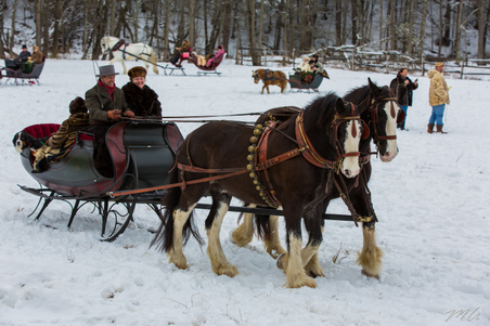 Enlarge photo 262