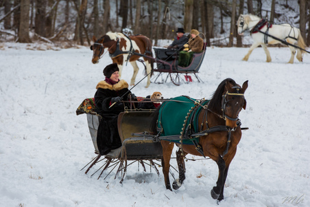 Enlarge photo 263