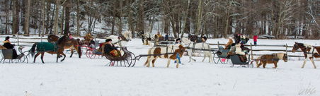 Enlarge photo 304