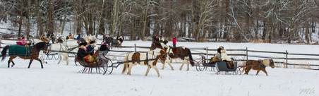 Enlarge photo 305