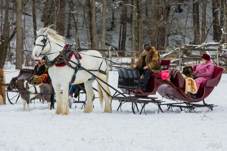 Enlarge photo 338