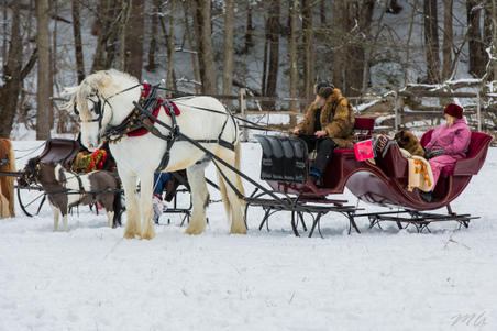 Enlarge photo 339