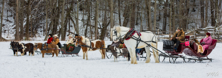 Enlarge photo 341