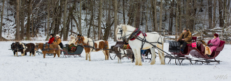 Enlarge photo 342