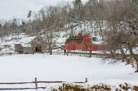 Enlarge photo 412