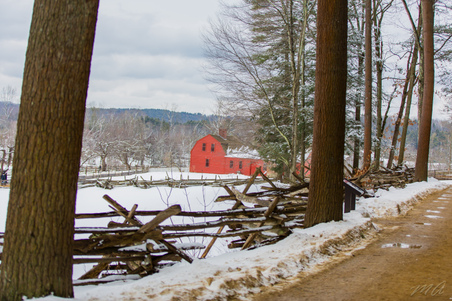 Enlarge photo 415