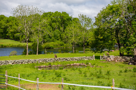 Enlarge photo 54