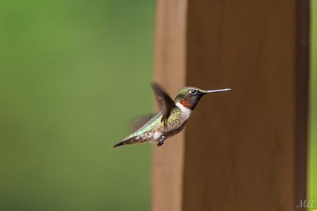 Enlarge photo 59