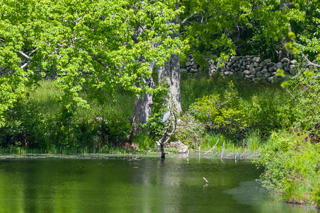 Enlarge photo 62