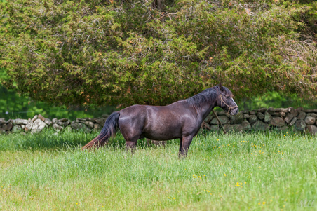 Enlarge photo 80