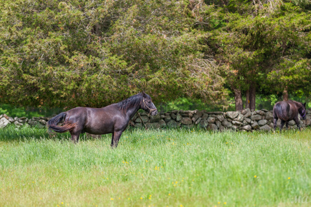 Enlarge photo 82