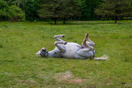 Enlarge photo 93