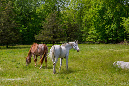 Enlarge photo 105